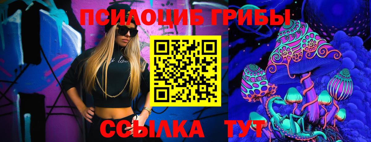 Галлюциногенные грибы Psilocybe Амурск