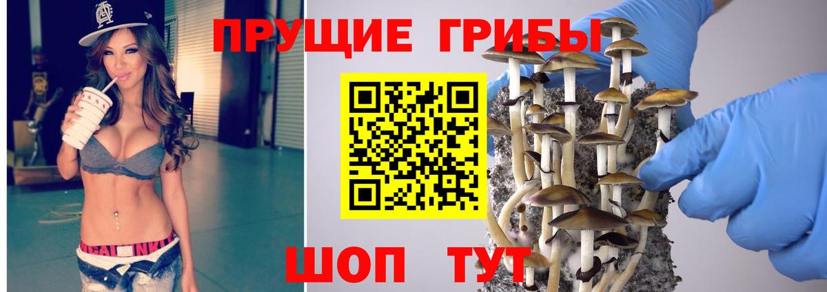 Амурск  Псилоцибиновые грибы мицелий  Вход с VPN 